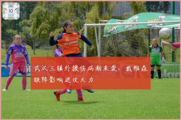 武汉三镇外援伤病潮来袭,戴维森缺阵影响进攻火力