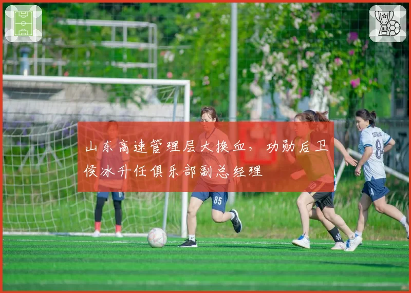 山东高速管理层大换血，功勋后卫侯冰升任俱乐部副总经理