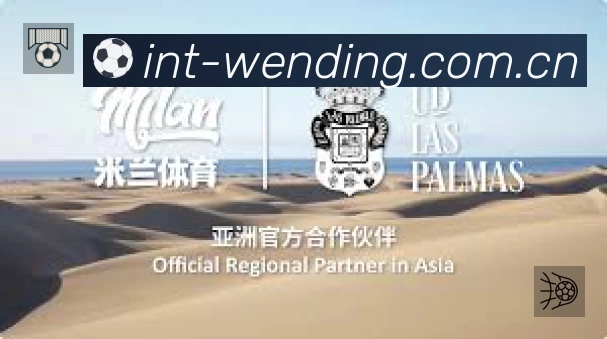 全球访问热力分布图